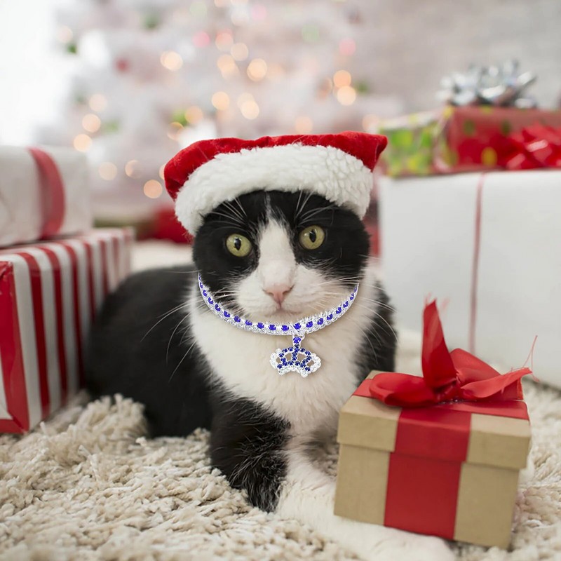 Towline kaelarihm nahast kaelarihm ja jalutusrihm koertele Kuldne kett Koera kaelarihm koera kaelakee metallist omatehtud koera kaelarihmad kaelarihm nailon