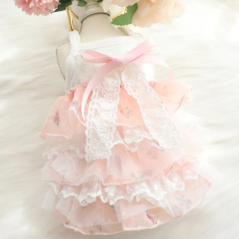 Odjeća za pse Ljetna tanka mačka Suknja od kolača od šifona Princeza Veleprodaja Odjeća za kućne ljubimce za male pse Haljine za pse