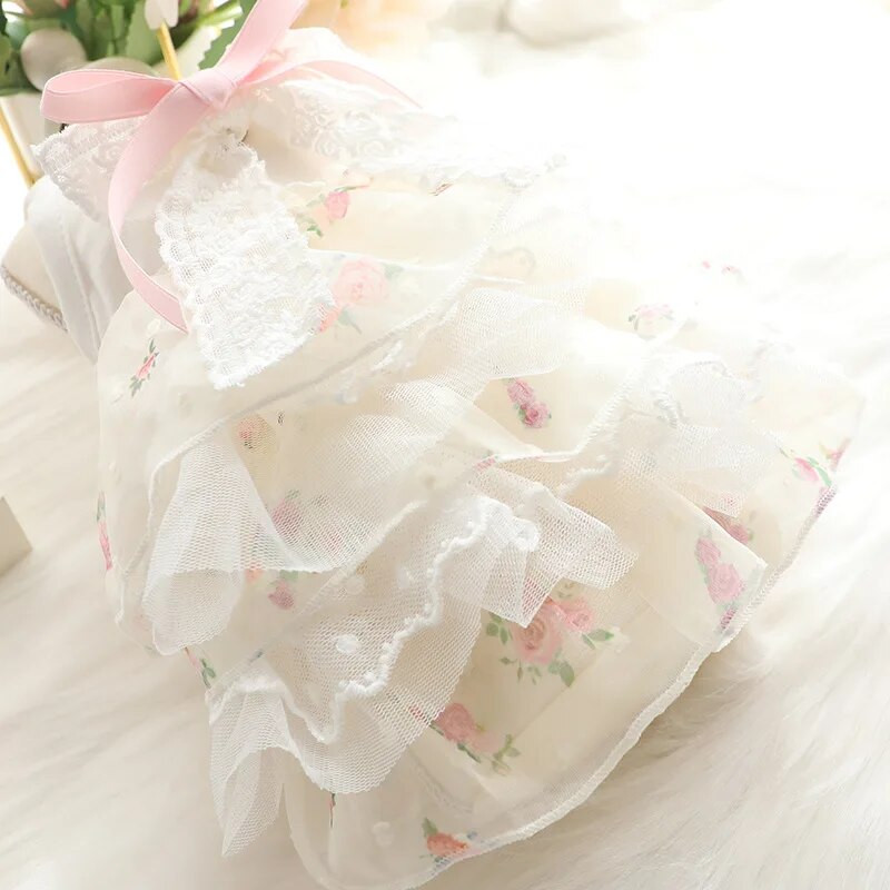 Odjeća za pse Ljetna tanka mačka Suknja od kolača od šifona Princeza Veleprodaja Odjeća za kućne ljubimce za male pse Haljine za pse