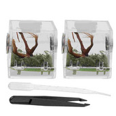 2 Σετ Σαλιγκάρια Jumping Spider Breeding Box Μίνι πλαστικό ζωάκια Terrapin Tank Ακρυλικό κλουβί εντόμων