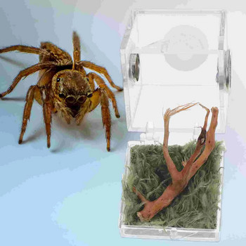 2 комплекта охлюви, скачащи паяци, кутия за размножаване, мини пластмасови животни, резервоар за земна костенурка, акрилна клетка за насекоми
