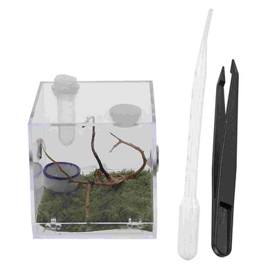 2 Σετ Σαλιγκάρια Jumping Spider Breeding Box Μίνι πλαστικό ζωάκια Terrapin Tank Ακρυλικό κλουβί εντόμων