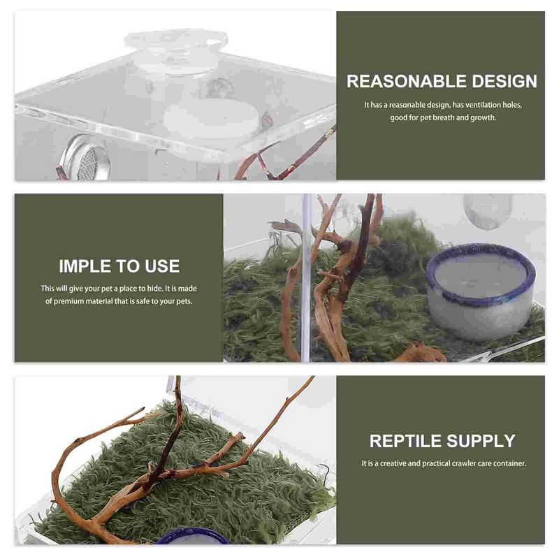 2 Σετ Σαλιγκάρια Jumping Spider Breeding Box Μίνι πλαστικό ζωάκια Terrapin Tank Ακρυλικό κλουβί εντόμων