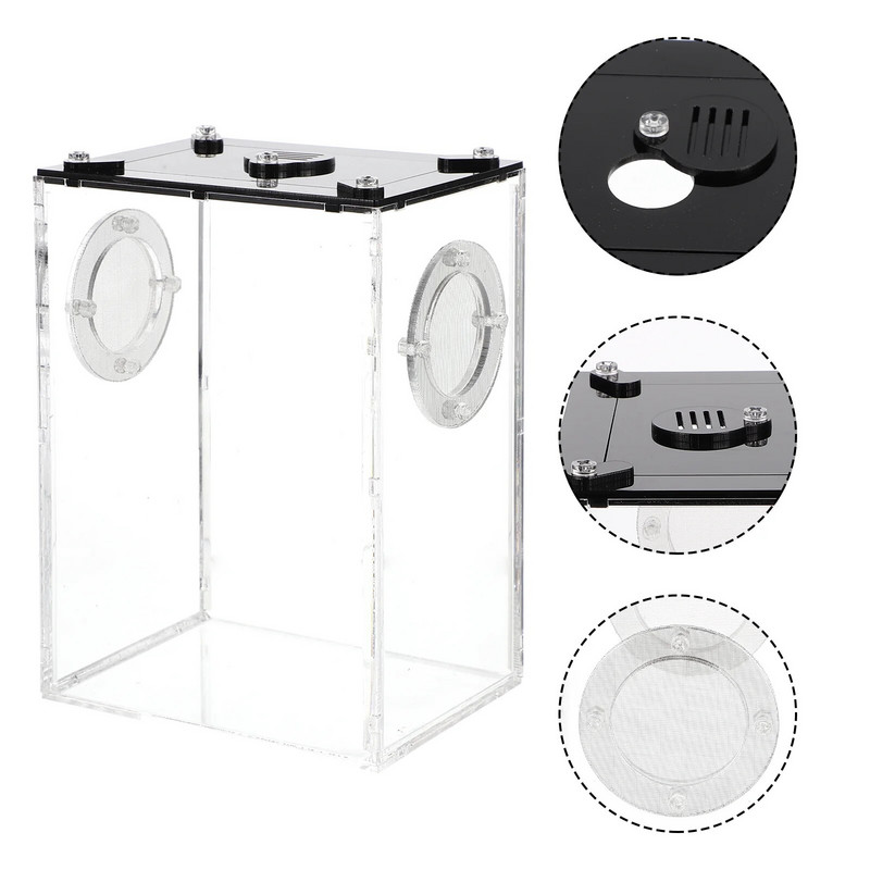 Κουτί τροφοδοσίας ερπετών Οικιακό κλουβί φιδιών ακρυλικό προμήθειες για κατοικίδια Μικρά γυάλινα δοχεία Terrarium