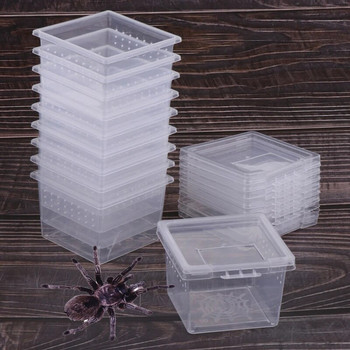 1 τεμ. Feeding Box Reptile Cage Hatching Δοχείο εκτροφής για σαύρες Terrarium Tortoise Spider Beetle Insect House