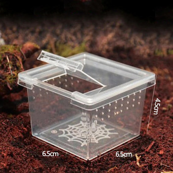 1 τεμ. Feeding Box Reptile Cage Hatching Δοχείο εκτροφής για σαύρες Terrarium Tortoise Spider Beetle Insect House