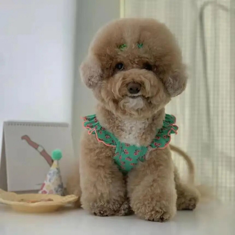 Armas lilleline lemmikloomavest Koer Kass Lendav Varrukas Seene Curling Väike lilleline Kaisukaru Kevadsuvi Lemmikloomariided Varud Koerariided