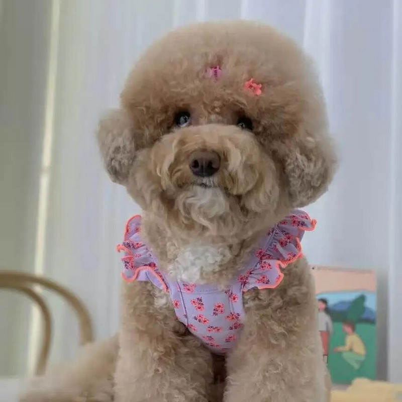 Armas lilleline lemmikloomavest Koer Kass Lendav Varrukas Seene Curling Väike lilleline Kaisukaru Kevadsuvi Lemmikloomariided Varud Koerariided