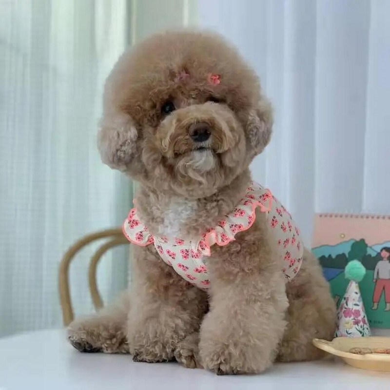 Armas lilleline lemmikloomavest Koer Kass Lendav Varrukas Seene Curling Väike lilleline Kaisukaru Kevadsuvi Lemmikloomariided Varud Koerariided