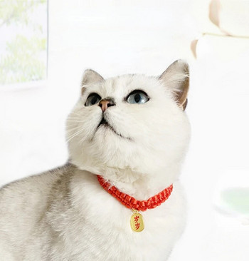 Χαριτωμένο κολιέ γάτας με κόκκινο σχοινί με πλεκτό γιακά ρυθμιζόμενο Παραδοσιακό Lucky Bless Tag υφαντά περιλαίμια για γατάκια Κολιέ για κουτάβια σκυλιά