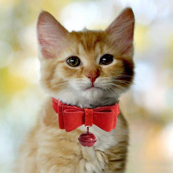 Περιλαίμιο γάτας Bowknot PU Δερμάτινο κολιέ με καμπάνες Ρυθμιζόμενο μικρό σκύλο για κουτάβι γατάκι Αξεσουάρ για κατοικίδια
