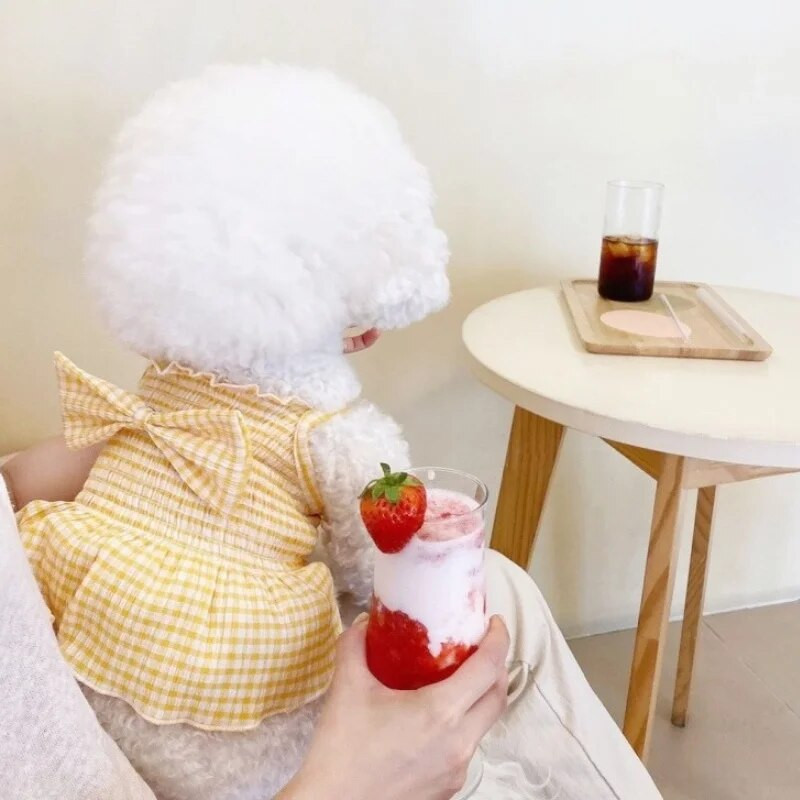 Lemmiklooma koera seelik Mood Koera ruuduline Kleit Kutsikas Printsess Seelik Suvine Kassi Kleit Pehme Lemmiklooma Kassipoja Riietus Chihuahua koera riided