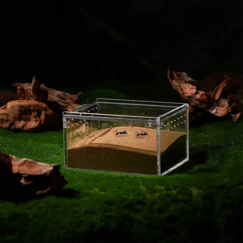 Reptile Box Breeding Tank Feeding Forterrarium Διάφανο περίβλημα θήκης κοντέινερ Κρίκετ Isolated Crab Tarantula Habitat