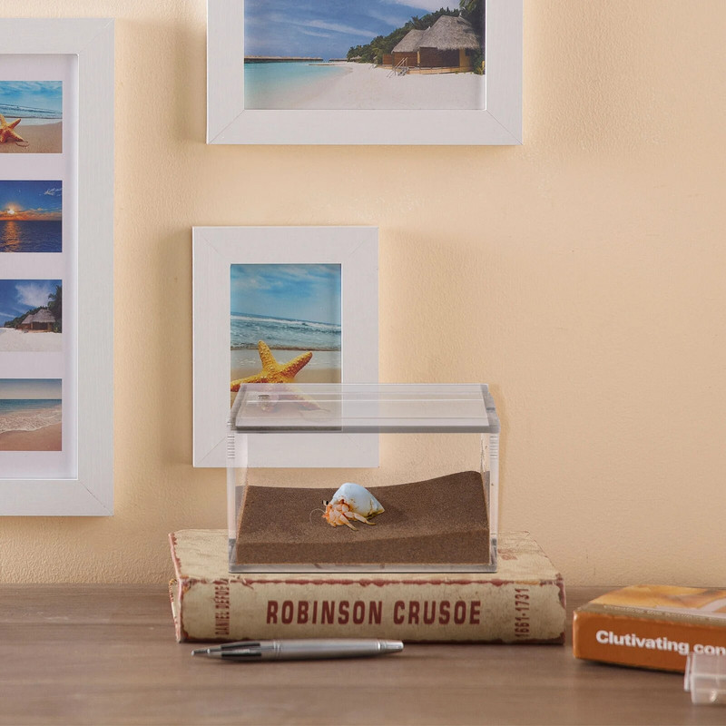 Reptile Box Breeding Tank Feeding Forterrarium Διάφανο περίβλημα θήκης κοντέινερ Κρίκετ Isolated Crab Tarantula Habitat