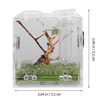 Μικρό κουτί αναπαραγωγής ερπετών με σταγονόμετρο και λαβίδα Pet Terrarium Διαφανές ακρυλικό κλουβί Insect Jumping Spider Feeding Box