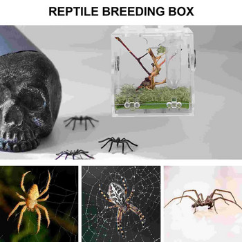 Малка кутия за отглеждане на влечуги с капкомер и форцепс Терариум за домашни любимци Прозрачна акрилна клетка Кутия за хранене на скачащи паяци от насекоми