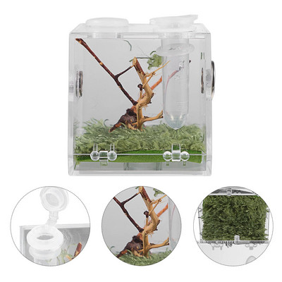 Μικρό κουτί αναπαραγωγής ερπετών με σταγονόμετρο και λαβίδα Pet Terrarium Διαφανές ακρυλικό κλουβί Insect Jumping Spider Feeding Box