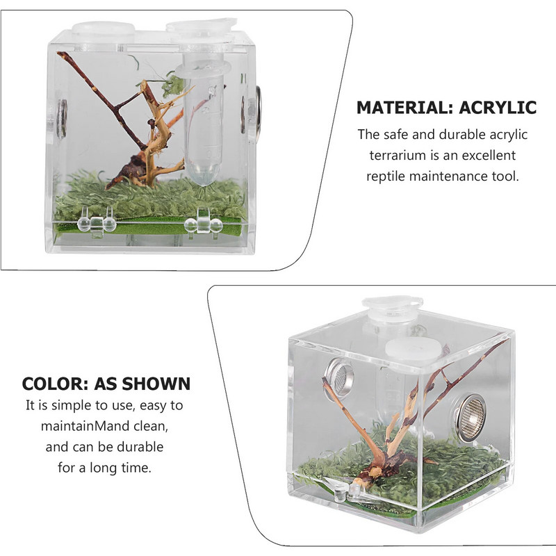 Μικρό κουτί αναπαραγωγής ερπετών με σταγονόμετρο και λαβίδα Pet Terrarium Διαφανές ακρυλικό κλουβί Insect Jumping Spider Feeding Box