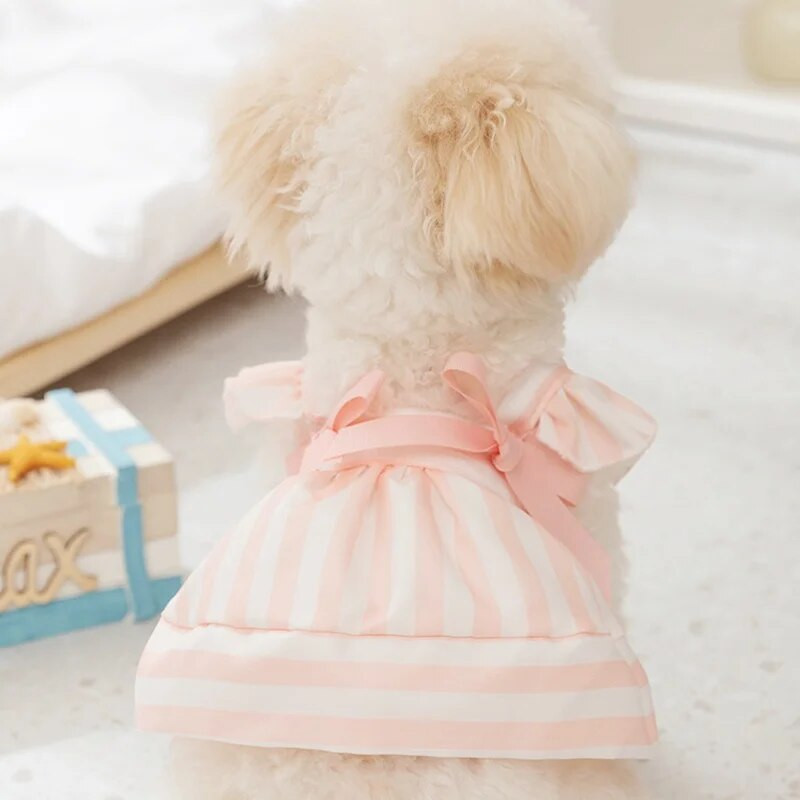 Μόδα φόρεμα πριγκίπισσας για σκύλους κατοικίδιων ζώων Γλυκό παπιγιόν Φούστα με σφεντόνα σκύλου Καλοκαιρινή ένδυση για κουτάβι Χαριτωμένο ριγέ φόρεμα γάτας Ρούχα σκύλου Chihuahua