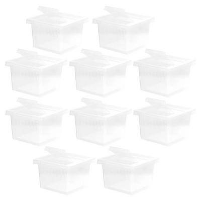 Ämblikterraariumid hüppavad ämblikukarbid Väike läbipaistev konteineri aretuskast ja väike roomaja 10 tk