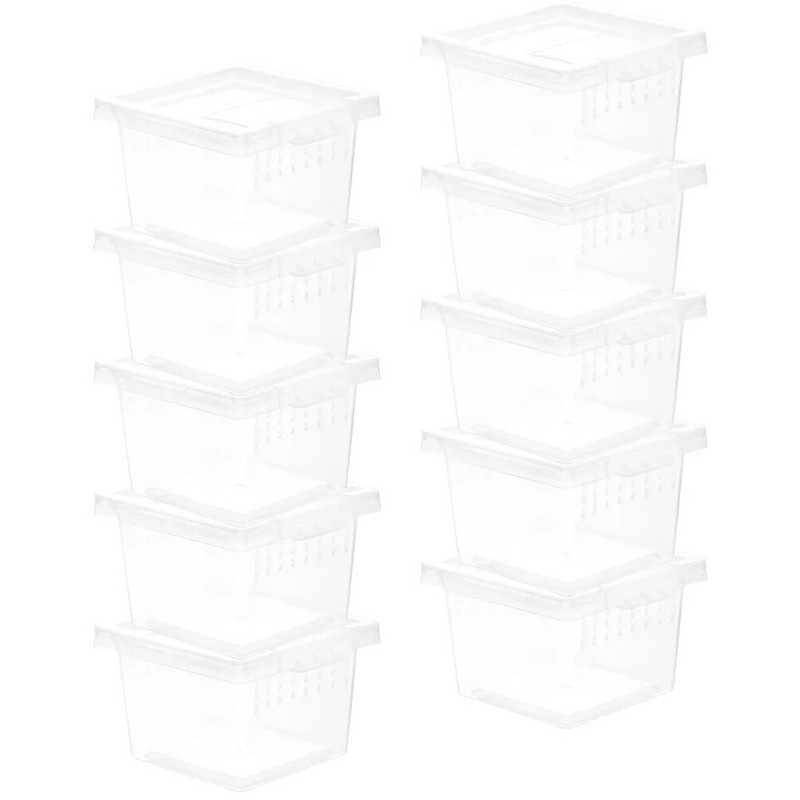 Ämblikterraariumid hüppavad ämblikukarbid Väike läbipaistev konteineri aretuskast ja väike roomaja 10 tk