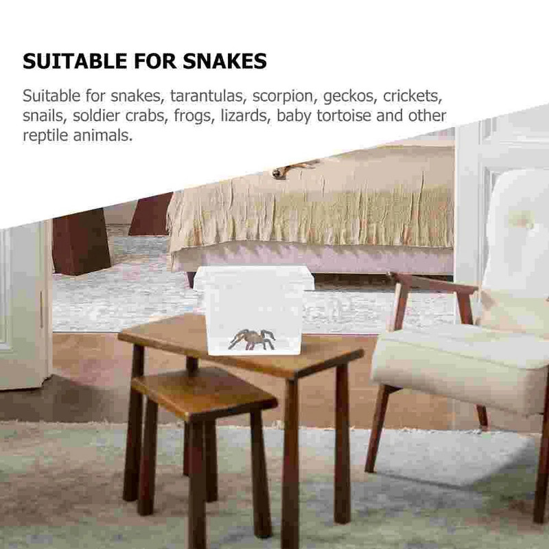 Ämblikterraariumid hüppavad ämblikukarbid Väike läbipaistev konteineri aretuskast ja väike roomaja 10 tk