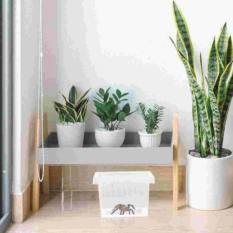 Ämblikterraariumid hüppavad ämblikukarbid Väike läbipaistev konteineri aretuskast ja väike roomaja 10 tk