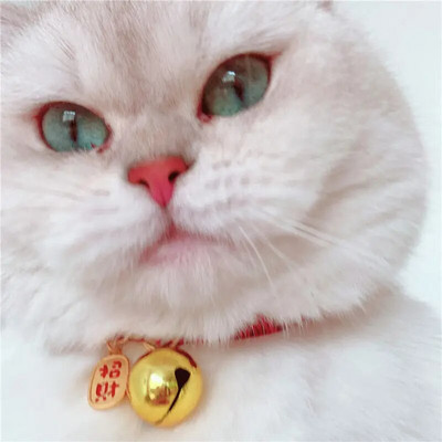 Silent Bells Cat Collars New Year Cat Collars With Auspicious Tags Easy Breakaway Collars With Muted Bells