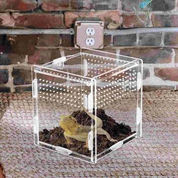 Pet Animal Jumping Spider Eclosure Accessories Acrylic Clear Boxes for Spider