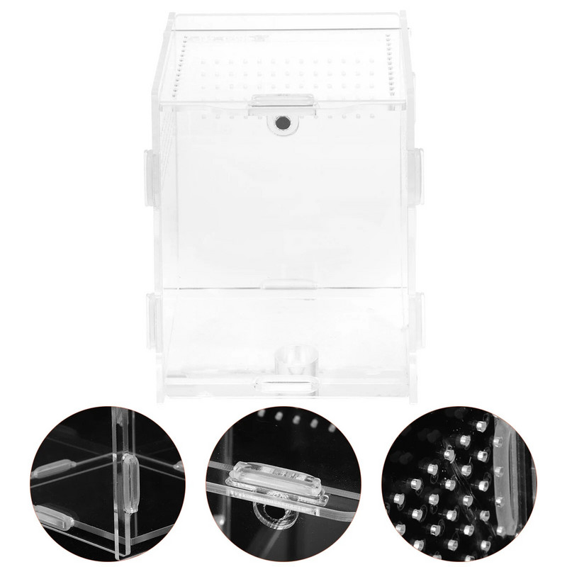 Mājdzīvnieku lēkšanas zirnekļu novietnes piederumi Akrila caurspīdīgas kastes zirnekļiem