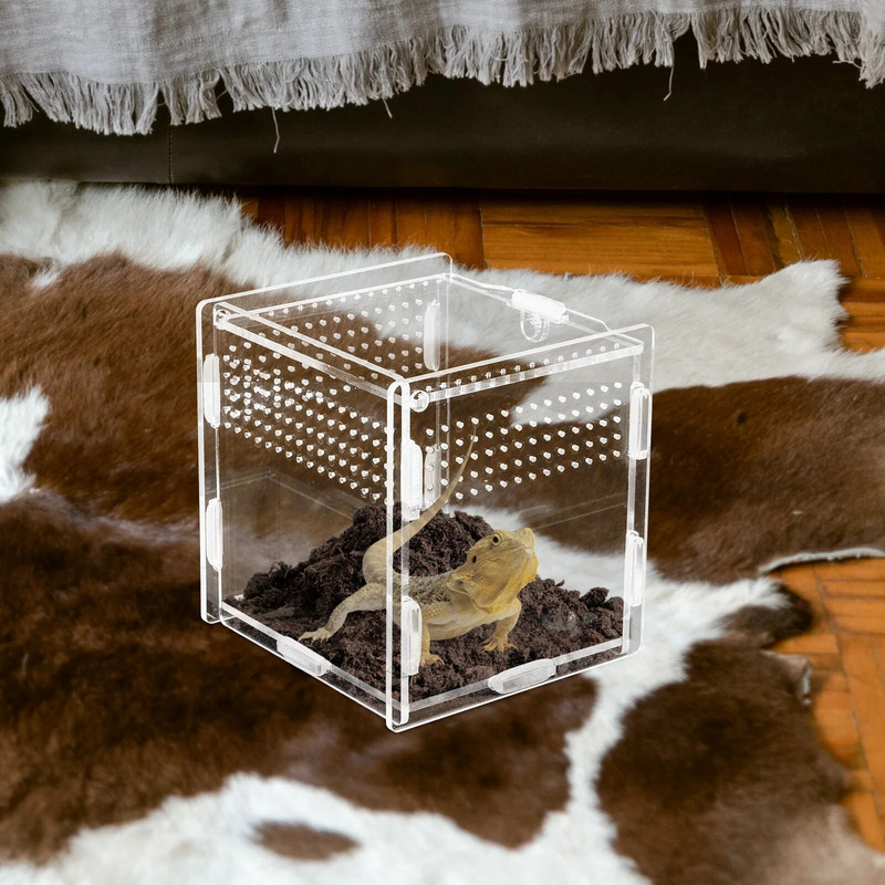 Mājdzīvnieku lēkšanas zirnekļu novietnes piederumi Akrila caurspīdīgas kastes zirnekļiem