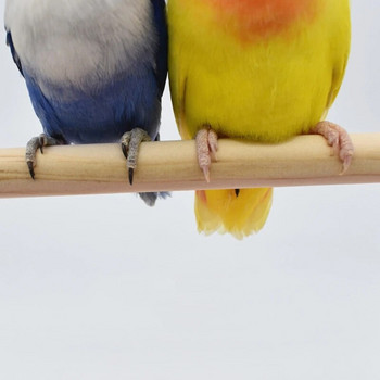 Стойка за обучение на птици Преносим настолен папагал Костур от естествена дървесина за малък среден папагал Финч Канарско африканско