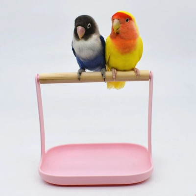 Bird Training Stand Portable Tabletop Parrot Natural Wood Perch for Small Medium Parakeet Finch Canary African