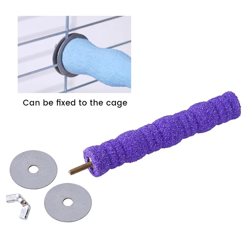 Papagaiļa ķepu slīpēšanas koka nūja, kas izsmidzināta ar krāsainām smiltīm.