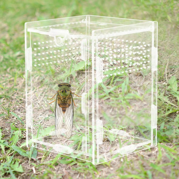Αξεσουάρ Terrarium Animal Jumping Spider Περίβλημα Ακρυλικά κουτιά φύλαξης κατοικίδιων