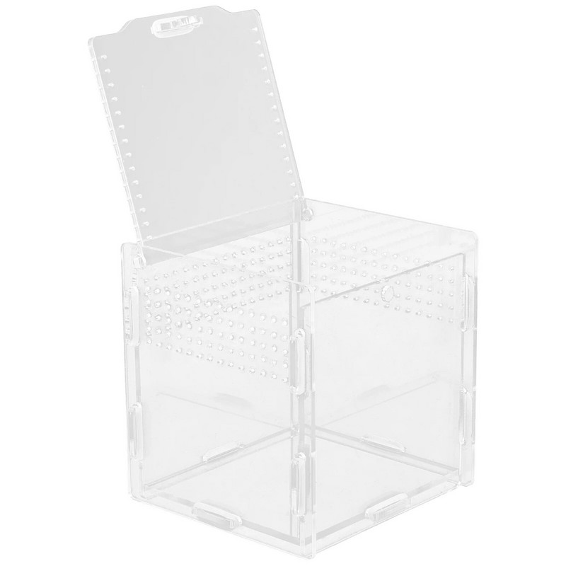 Terraariumi loomade hüppavad ämblikukarbid Akrüülist lemmikloomade pidamise kastid