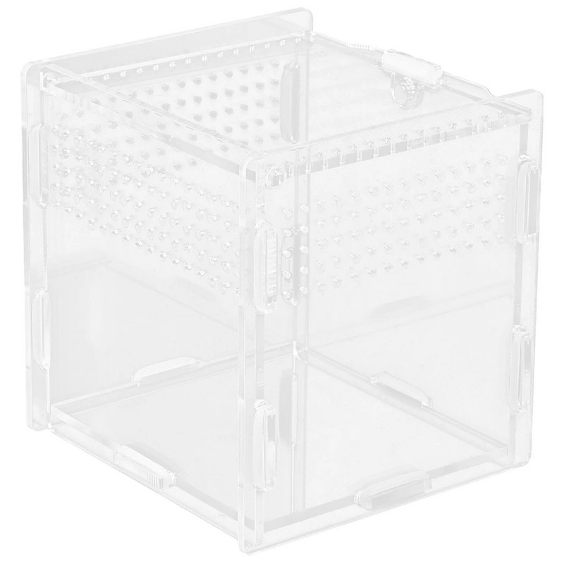 Terraariumi loomade hüppavad ämblikukarbid Akrüülist lemmikloomade pidamise kastid