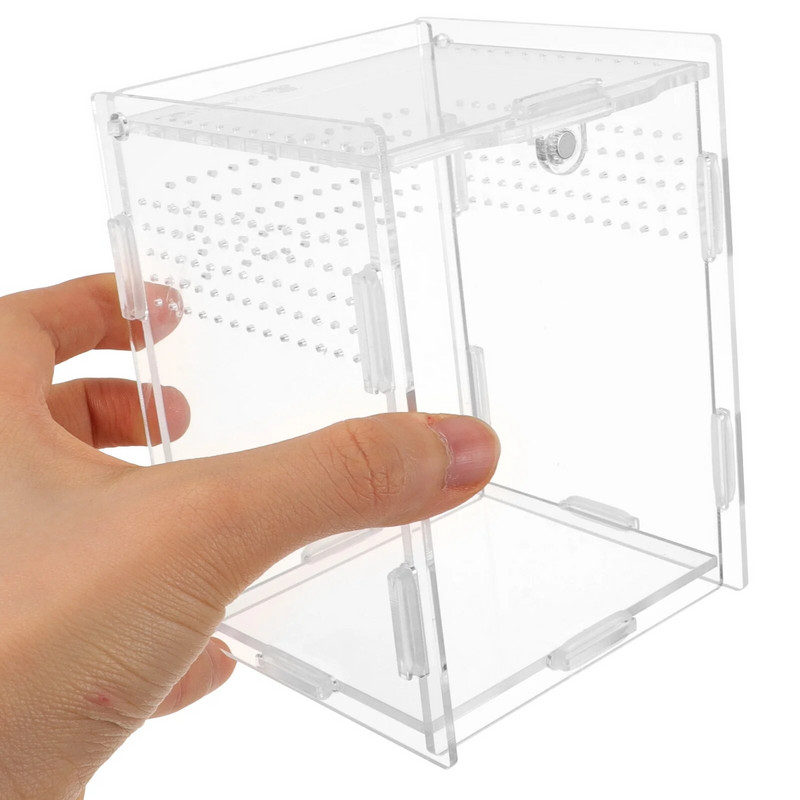 Terraariumi loomade hüppavad ämblikukarbid Akrüülist lemmikloomade pidamise kastid