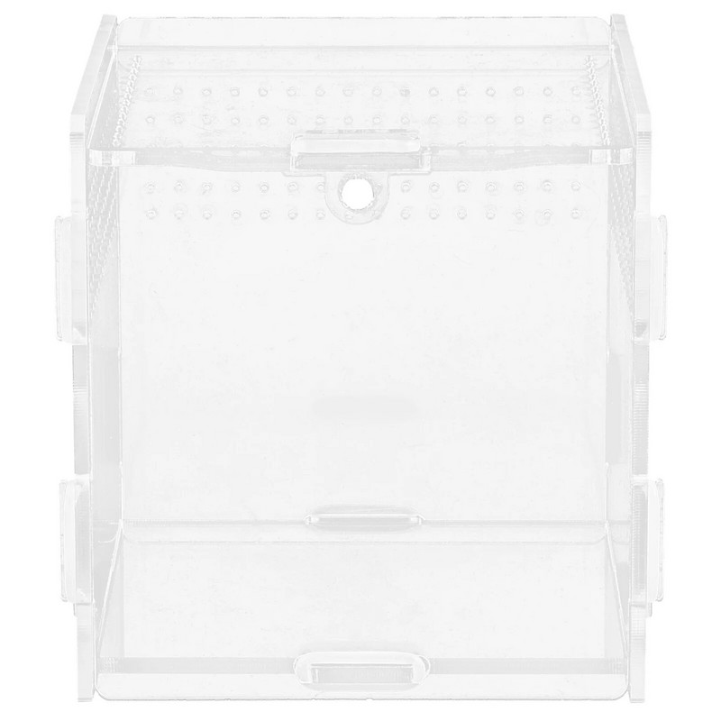 Terraariumi loomade hüppavad ämblikukarbid Akrüülist lemmikloomade pidamise kastid