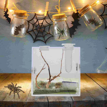 Villcase Glass Containers 2 Set Spider Terrarium Acrylic Reptile Breeding Box Jumping Spider Enclosure Dropper Tongs