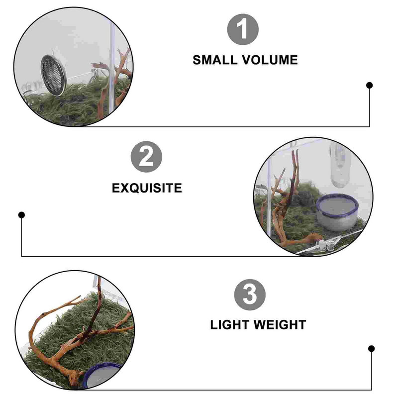 Villcase stikla konteineri 2 komplekts, zirnekļa terārijs, akrila rāpuļu audzēšanas kaste, lēciena zirnekļa iežogojuma pilinātāja knaibles