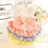 Koerariided kevadsuvine õhuke kassprintsess värviline magus mitmekihiline Lolita väike koer Teddy lemmikloom