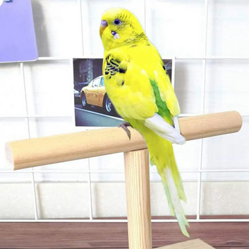 Издръжлива стойка за папагали, безопасна, екологична стойка за птици, дървена кацалка за папагал