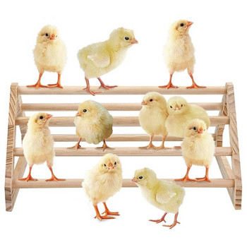 Καρότσι κοτόπουλου Perch Chick Jungle Gym Roosting Bar, Chick Decor Toys for Coop and Brooder Accessories