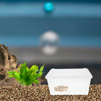 Земноводни Кутия за хранене Охлюв Къща за водни костенурки Акрилно заграждение Тераса Терариум Влечуги