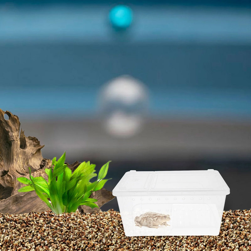 Abinieku barošanas kaste Gliemežu māja ūdens bruņurupučiem Akrila iežogojums terase terārijs rāpuļiem