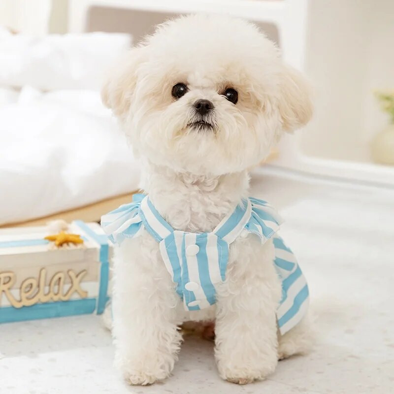 Mājdzīvnieku suns Svītraina kleita Vasaras suņu siksnu svārki Jauki kucēna apģērbi Luksusa Bow Kaķu Princeses Kleita Mājdzīvnieku Tērpi Čivavas Suņu Apģērbi