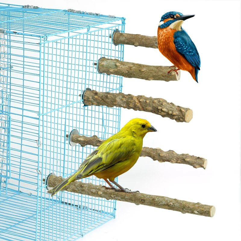 Természetes papagáj sügér Madárállvány Fa bot Mancs Köszörülő Villa Papagáj Hegymászó Madár Álló Ágak Játékok Madárketrec Kiegészítők