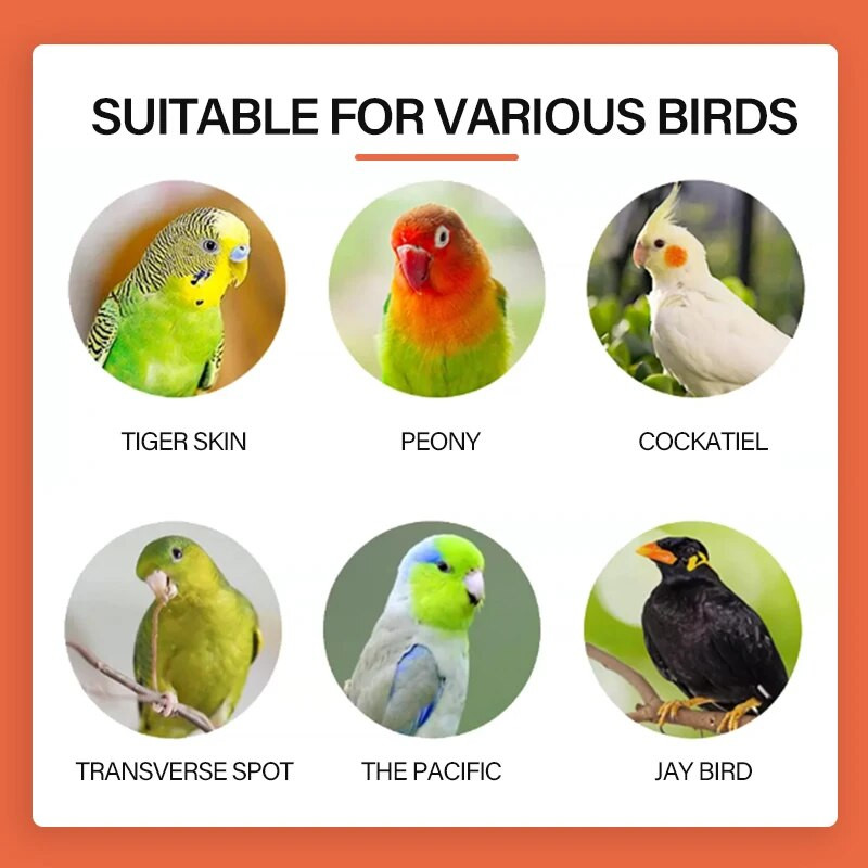 Természetes papagáj sügér Madárállvány Fa bot Mancs Köszörülő Villa Papagáj Hegymászó Madár Álló Ágak Játékok Madárketrec Kiegészítők