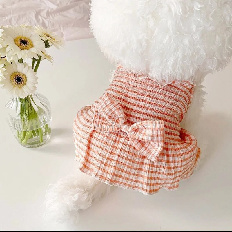 Printsessi stiilis koerakleidid Lemmiklooma ruuduline kleit väikesele ja keskmisele koerale Suvised kutsikarõivad Armas supender kassi seelik Chihuahua riided